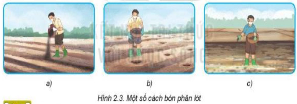 Lý thuyết Bài 2: Làm đất trồng cây chi tiết – Công nghệ lớp 7 Kết nối tri thức (ảnh 1)