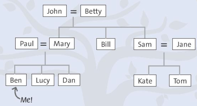 SBT Tiếng Anh 7 trang 4 Starter unit Vocabulary: Family  - Chân trời sáng tạo (ảnh 1)