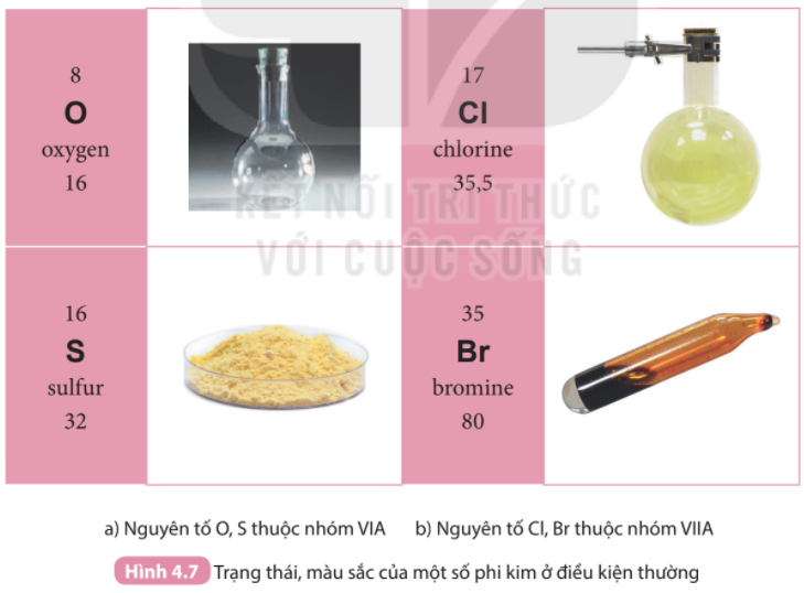 Sử dụng bảng tuần hoàn, hãy xác định vị trí của các nguyên tố có tên trong Hình 4.7 (ảnh 1)