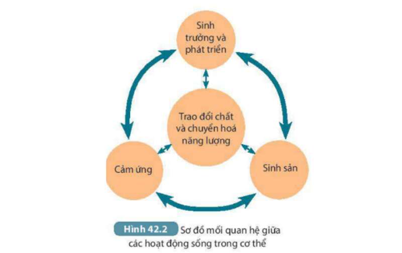 Bộ 10 đề thi học kì 2 Khoa học tự nhiên 7 Kết nối tri thức có đáp án năm 2023 (ảnh 1)