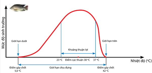 Bộ 10 đề thi giữa kì 2 Khoa học tự nhiên 7 Cánh diều có đáp án năm 2023 (ảnh 3)