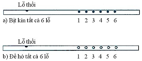 SBT Khoa học tự nhiên 7 Bài 13: Độ to và độ cao của âm - Chân trời sáng tạo (ảnh 1)