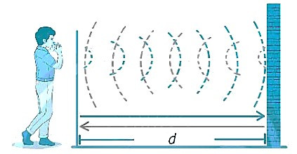 SBT Khoa học tự nhiên 7 Bài 14: Phản xạ âm - Chân trời sáng tạo (ảnh 1)