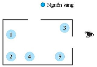 SBT Khoa học tự nhiên 7 Bài 15: Ánh sáng, tia sáng - Chân trời sáng tạo (ảnh 1)