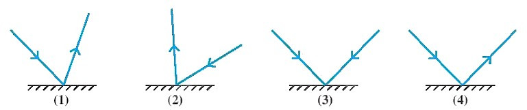 SBT Khoa học tự nhiên 7 Bài 16: Sự phản xạ ánh sáng - Chân trời sáng tạo (ảnh 1)