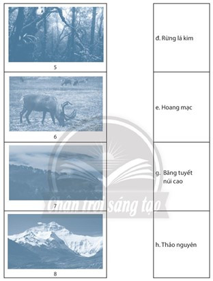 Sách bài tập Địa lí 7 Bài 5: Thiên nhiên châu Á - Chân trời sáng tạo (ảnh 1)