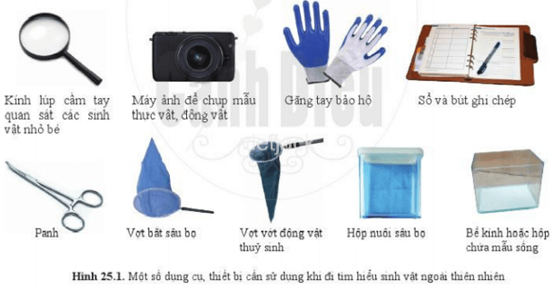 Quan sát hình 25.1 và cho biết cần chuẩn bị những dụng cụ, thiết bị gì khi đi tìm hiểu sinh vật