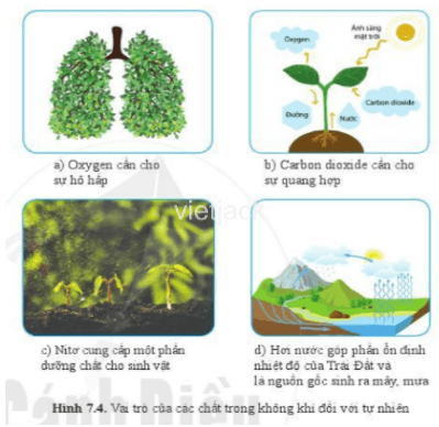 Quan sát hình 7.4, nêu một số vai trò của không khí đối với tự nhiên