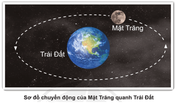 Tự nhiên xã hội lớp 3 Bài 23 trang 123 Quan sát | Cánh diều