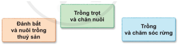 Tự nhiên xã hội lớp 3 Bài 9 trang 43 Quan sát | Cánh diều