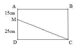 Luyện tập chung trang 896.pdf (ảnh 1)