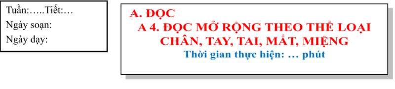 Giáo án Ngữ văn 7 Bài 2 (Chân trời sáng tạo): Chân, tay, tai, mắt, miệng (năm 2023)| Ngữ văn 7 (ảnh 1)