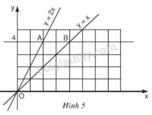 Giải Toán 9 Bài 1: Nhắc lại và bổ sung các khái niệm về hàm số  (ảnh 10)