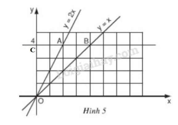 Giải Toán 9 Bài 1: Nhắc lại và bổ sung các khái niệm về hàm số  (ảnh 11)