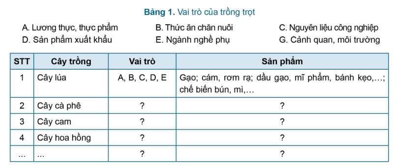 Công nghệ 7 Ôn tập Chủ đề 1: Trồng trọt và lâm nghiệp | Cánh diều (ảnh 1)