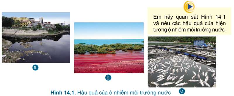 Công nghệ 7 Bài 14: Bảo vệ môi trường và nguồn lợi thủy sản | Cánh diều (ảnh 1)