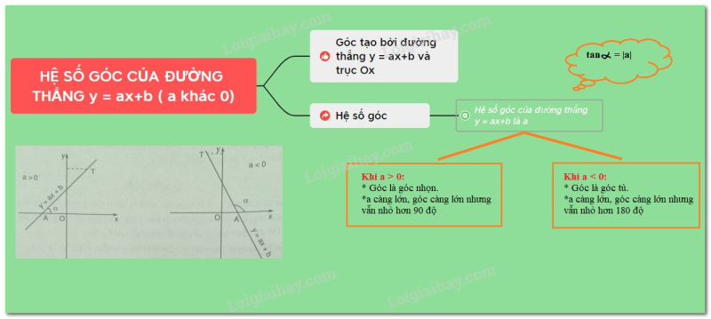 Giải Toán 9 Bài 5: Hệ số góc của đường thẳng y = ax + b ( a # 0)  (ảnh 13)