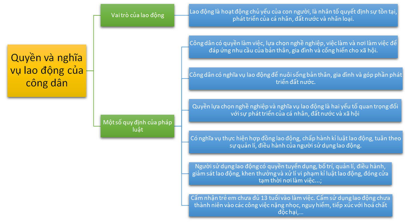 Lý thuyết GDCD 8 Bài 10 (Kết nối tri thức): Quyền và nghĩa vụ lao động của công dân (ảnh 1)