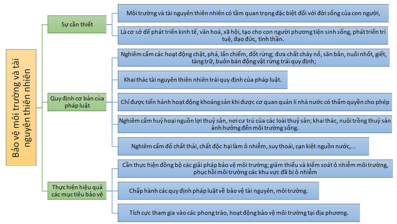 Lý thuyết GDCD 8 Bài 5 (Kết nối tri thức): Bảo vệ môi trường và tài nguyên thiên nhiên (ảnh 1)