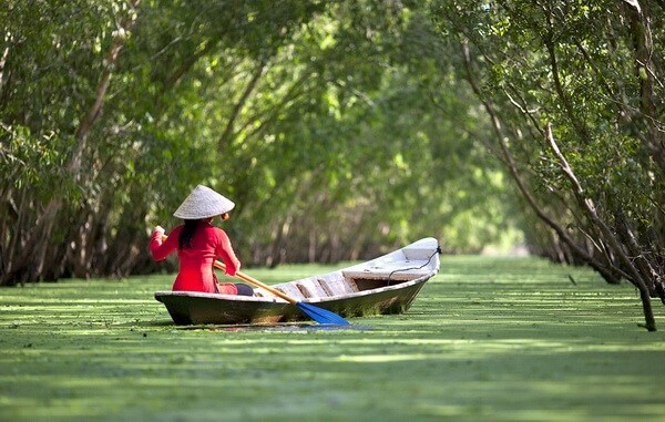 Ghe xuồng Nam Bộ - Tác giả tác phẩm (mới 2022) | Ngữ văn lớp 7 Cánh diều