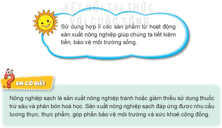 Tự nhiên xã hội lớp 3 Bài 9 trang 40 Thực hành - Kết nối tri thức