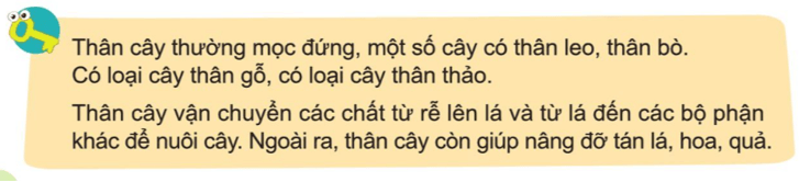 Tự nhiên xã hội lớp 3 Bài 12 trang 66 Câu hỏi | Cánh diều