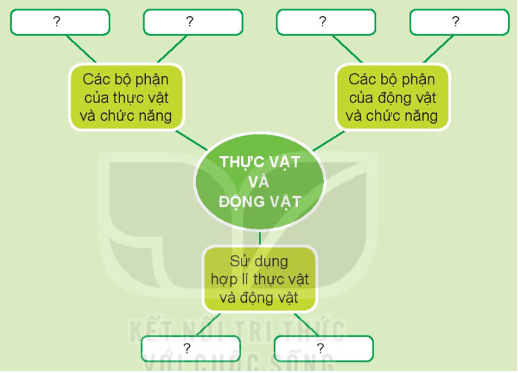 Tự nhiên xã hội lớp 3 Bài 17 trang 72 Thực hành - Kết nối tri thức