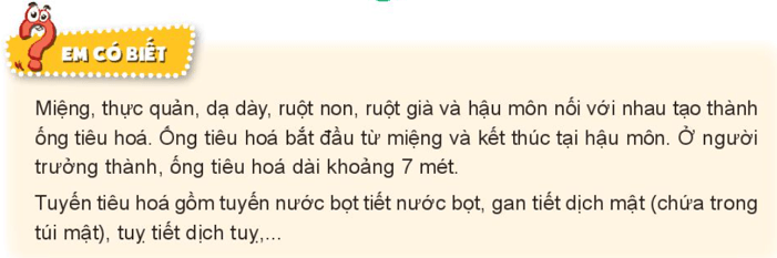 Tự nhiên xã hội lớp 3 Bài 18 trang 75 Thực hành - Kết nối tri thức