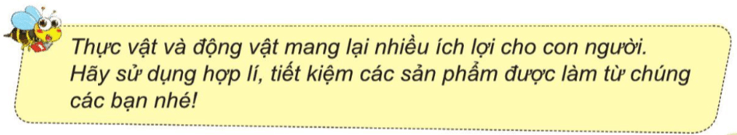 Tự nhiên xã hội lớp 3 Bài 14 trang 79 Thực hành | Cánh diều