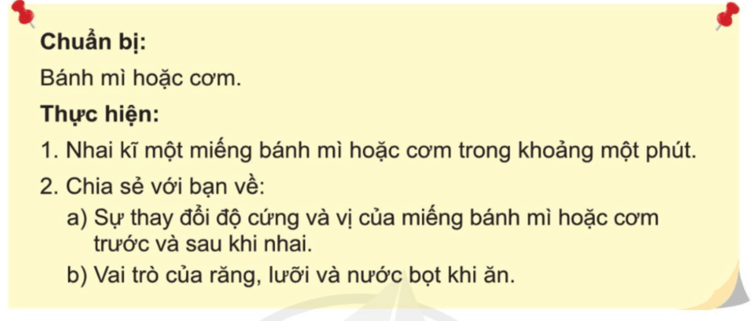 Tự nhiên xã hội lớp 3 Bài 15 trang 85 Thực hành | Cánh diều