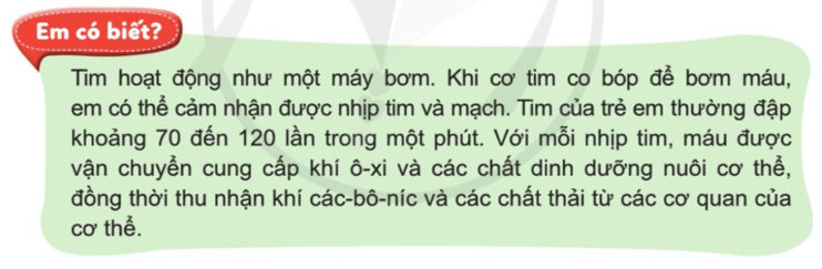 Tự nhiên xã hội lớp 3 Bài 16 trang 89 Thực hành | Cánh diều