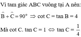 Trắc nghiệm Tỉ số lượng giác của góc nhọn có đáp án