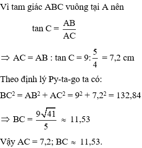 Trắc nghiệm Tỉ số lượng giác của góc nhọn có đáp án