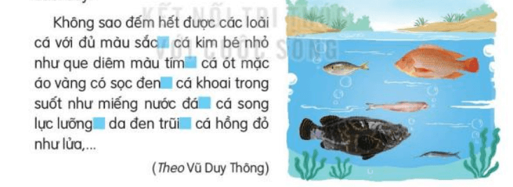 Tiết 1, 2 trang 72, 73 Tiếng Việt lớp 3 Tập 2 | Kết nối tri thức