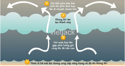 Hãy xây dựng bộ sưu tập hình ảnh về các lĩnh vực nghiên cứu của khoa học tự nhiên