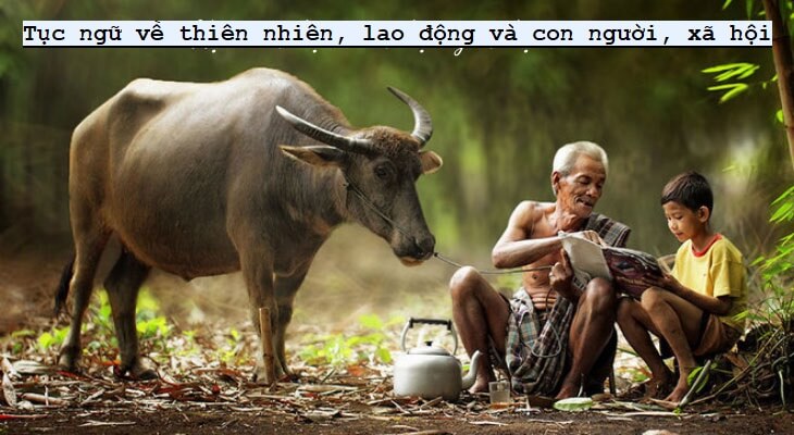 Tóm tắt Tục ngữ về thiên nhiên, lao động và con người, xã hội hay, ngắn nhất | Ngữ văn lớp 7 Cánh diều