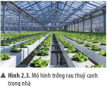 Trắc nghiệm Khoa học tự nhiên 6 Bài 2 (có đáp án): Các lĩnh vực chủ yếu của khoa học tự nhiên có đáp án - Chân trời sáng tạo