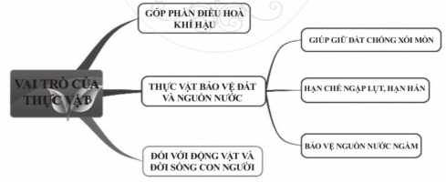 Trắc nghiệm Tin học 6 Bài 6 (có đáp án): Sơ đồ tư duy | Cánh diều