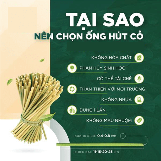 Em hãy cùng bạn xây dựng một sản phẩm để tuyên truyền, quảng bá