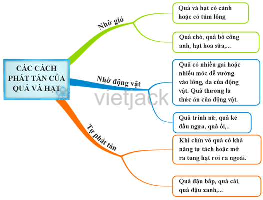 Em hãy chọn để vẽ sơ đồ tư duy cho một trong các trường hợp trên