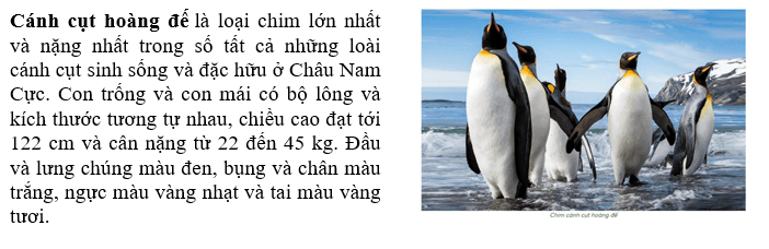 Đặc điểm nào về tự nhiên của châu Nam Cực làm em ấn tượng nhất