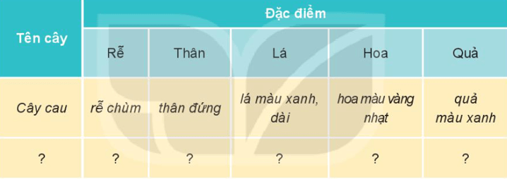 Tự nhiên xã hội lớp 3 Bài 13 trang 59 Vận dụng - Kết nối tri thức