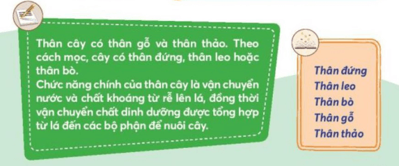 Tự nhiên xã hội lớp 3 Bài 15 trang 65 Vận dụng | Chân trời sáng tạo