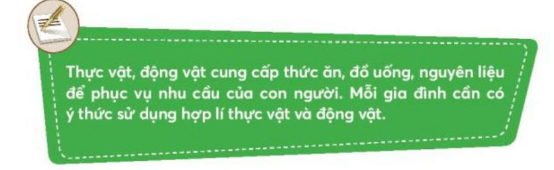 Tự nhiên xã hội lớp 3 Bài 18 trang 77, 78, 79 Vận dụng | Chân trời sáng tạo