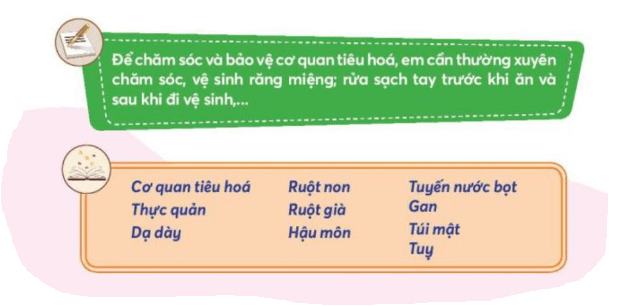 Tự nhiên xã hội lớp 3 Bài 20 trang 89  Vận dụng | Chân trời sáng tạo