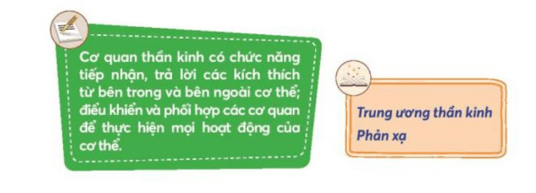 Tự nhiên xã hội lớp 3 Bài 22 trang 99  Vận dụng | Chân trời sáng tạo