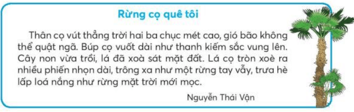 Viết trang 64 Tiếng Việt lớp 3 Tập 2 | Chân trời sáng tạo