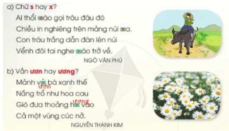 Viết trang 89 - 90 Tiếng Việt lớp 2 Tập 1 | Cánh diều