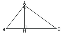 Luyện tập 5.pdf (ảnh 1)