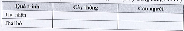 SBT Khoa học tự nhiên 7 Bài 17: Vai trò của trao đổi chất và chuyển hóa năng lượng ở sinh vật - Cánh diều (ảnh 1)